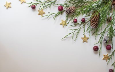 Trauma Focused Holiday Tips